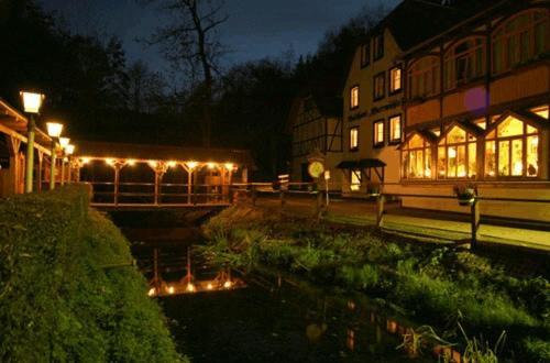 Waldhotel Pfarrmuehle Eisenberg  Buitenkant foto