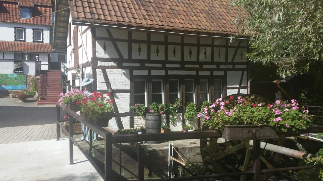 Waldhotel Pfarrmuehle Eisenberg  Buitenkant foto